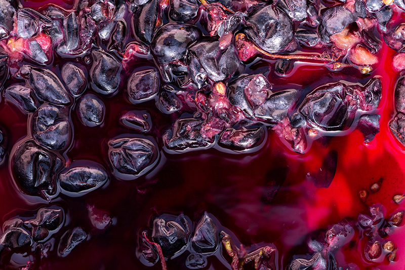 Oenology