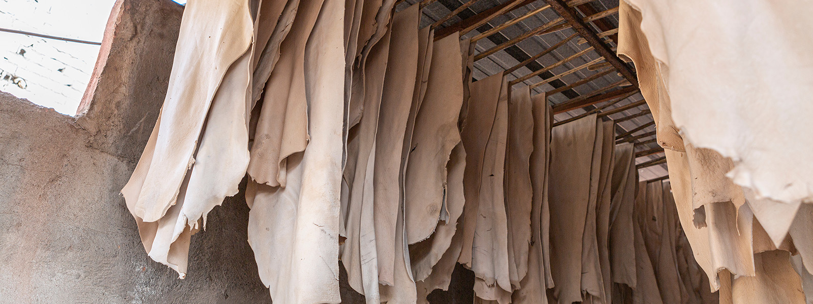 In tanneries