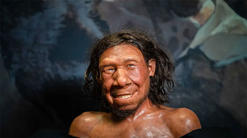space neanderthal